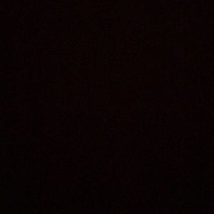 Meet your Posher, Lizette